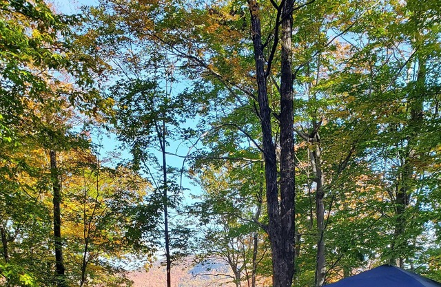 Tentrr Signature Site - Shady Knolls