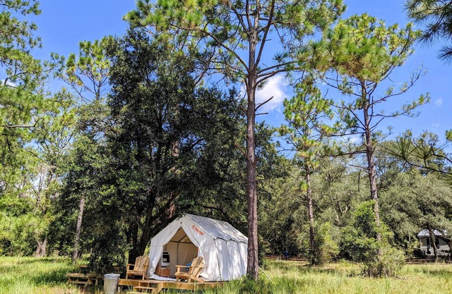 Tentrr Signature Site - Wind in the Pines North Florida Lake Retreat