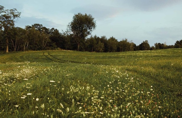 Tentrr Signature Site - Private Peaceful Farm Venture