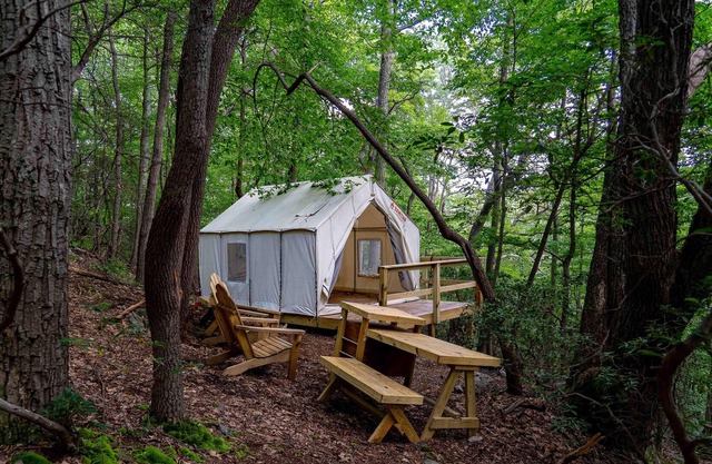 Tentrr State Park Site - WV Coopers Rock State Park - Site E - Single Camp