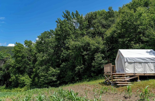 Tentrr State Park Site - NY Taconic State Park: High Valley Rd Site A