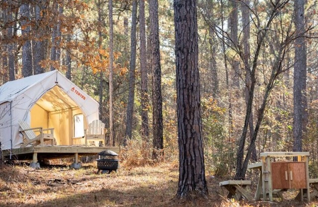 Tentrr State Park Site - Mississippi Clarkco State Park - Trailside E - Single C