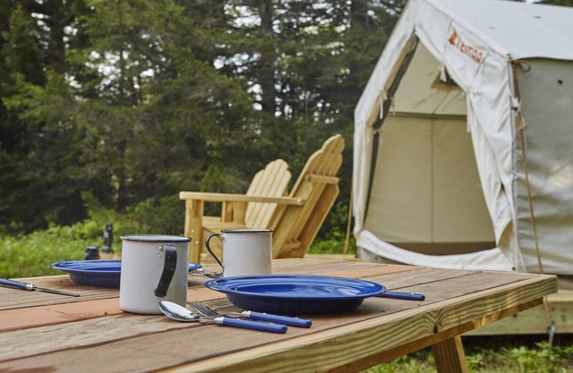 Tentrr State Park Site - NY Taconic State Park: High Valley Rd Site F