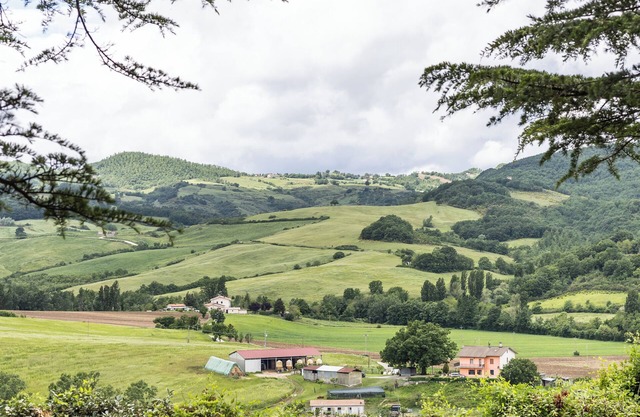 Tenuta Borgo San Michele