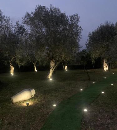 Tenuta degli Uliveti