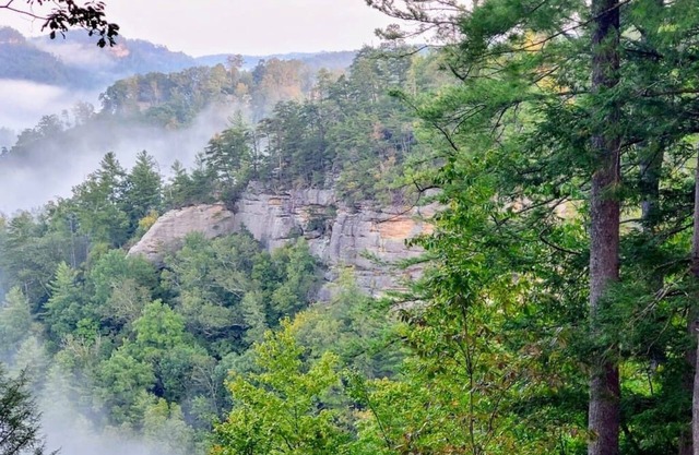 Terrapin Station: Million dollar view, RRG!