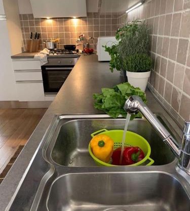 The 4 Senses Experience