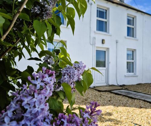 The Alpaca Farmhouse with hot tub and alpaca experience included