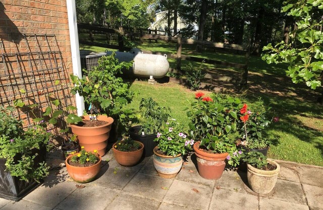 The Apartment - 3 miles to I 65