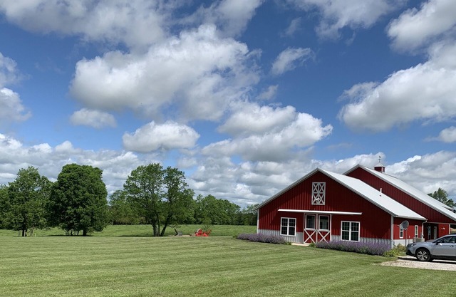 The Barn at Deva's Farm: Haute Blue Grass - Chill Retreat in the countryside