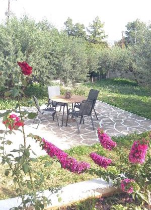 The Byzantine Wall House