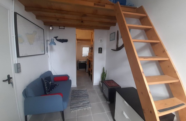 The Cabin, Nano study