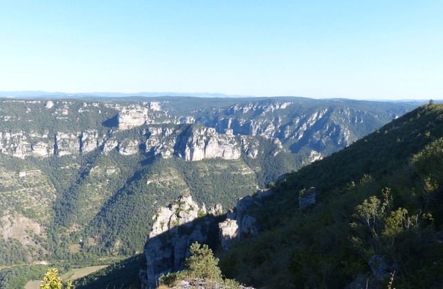 The Colors of the Seasons