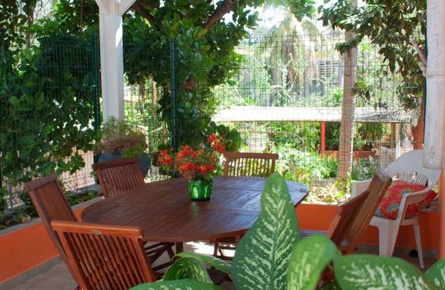 The cocoon - family -