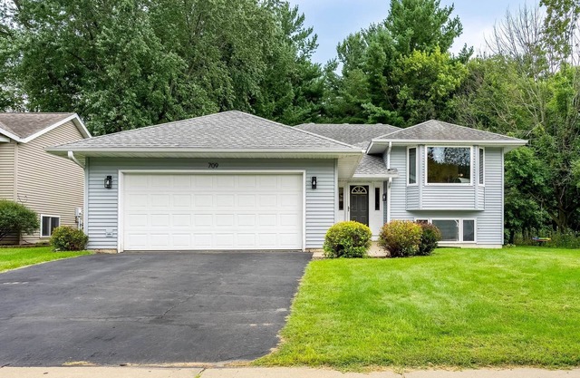 The Cozy Collective -