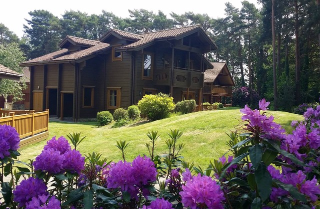 The Dorset Resort