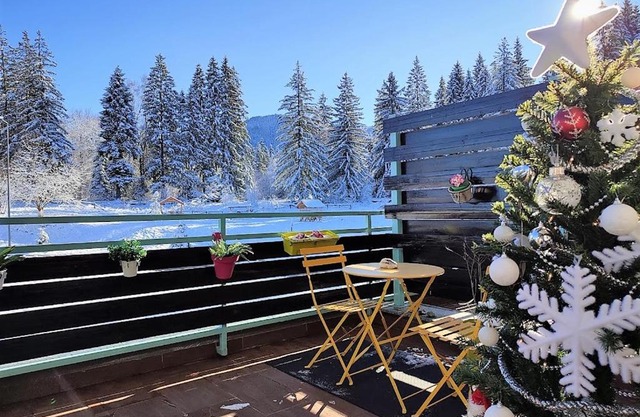 The Evergreen Nest - Silver Mountain