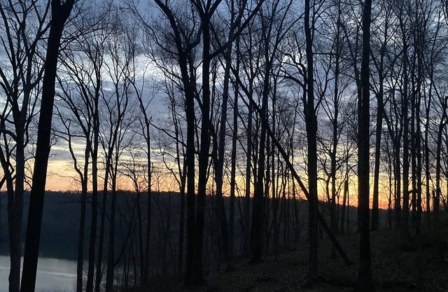 The Hoosier Lake Townhouse