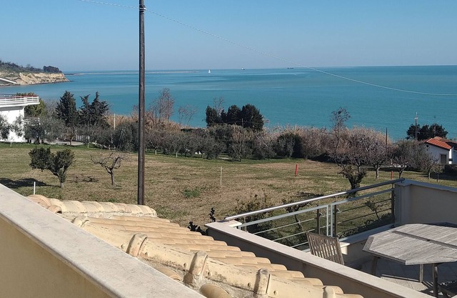 The house of the orange trees