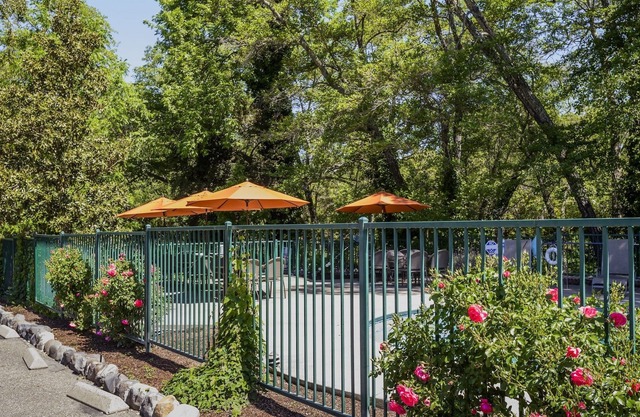 The Jack London Lodge