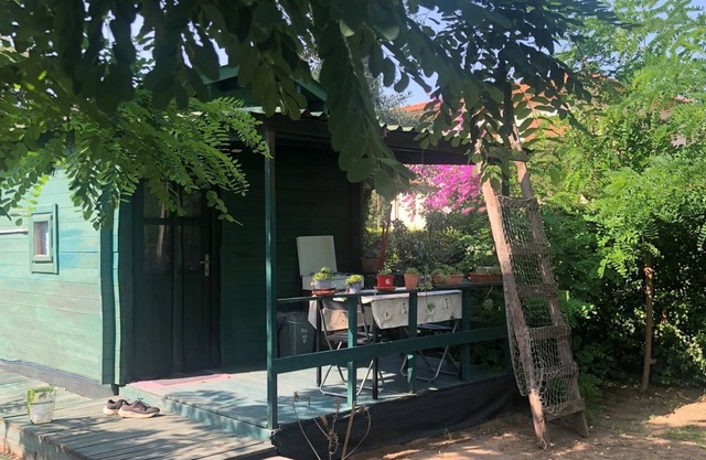 The Lagottino near the sea