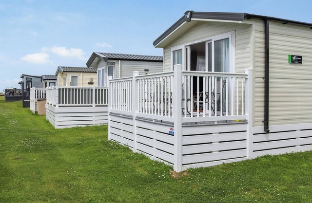 The Laughing Seagull