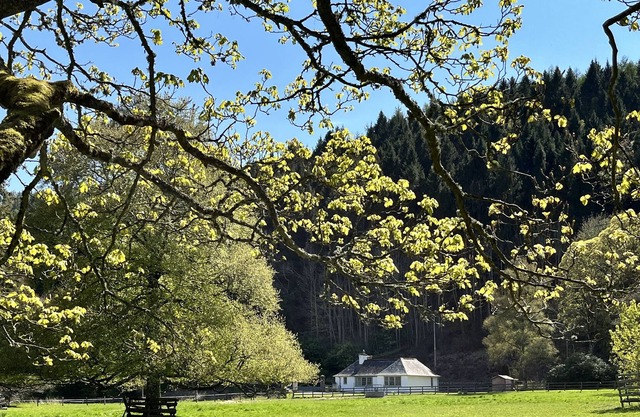 The Lodge at Yair