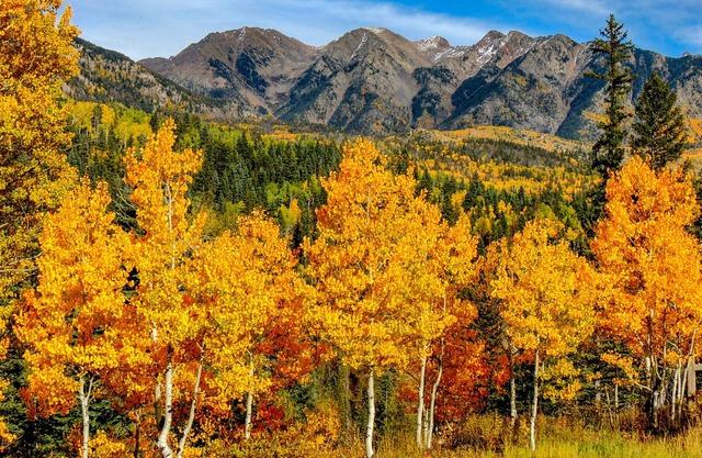 The Mountain Views! Are Everything! Corner Unit! Indoor Heated Pool & Spa!