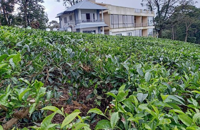 The Nirvana Resort Munnar