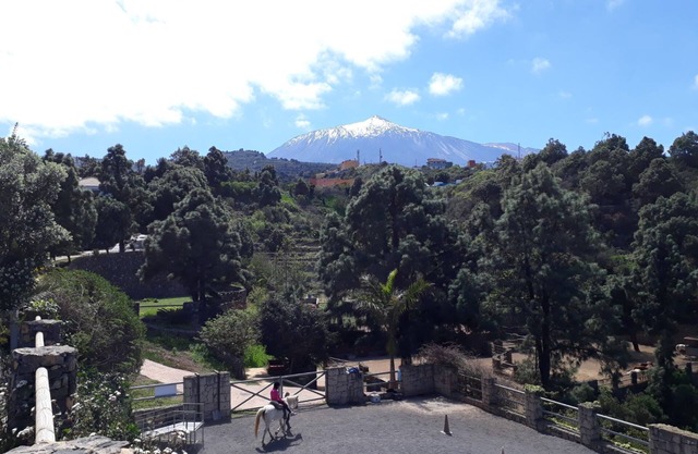 The north of Tenerife - more than just a volcano