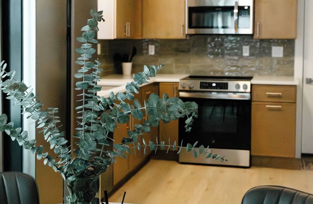 “The Olive House” Peaceful and Charming Home