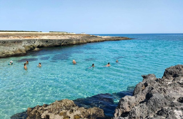 The Olive tree villa with garden near the sea (BY FOOT)