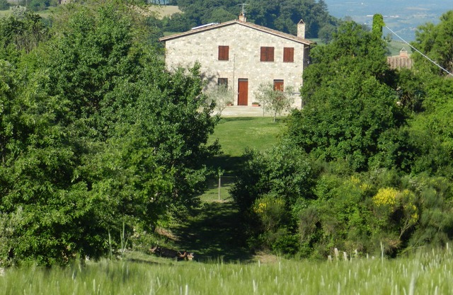 THE OLIVE TREE APARTMENT