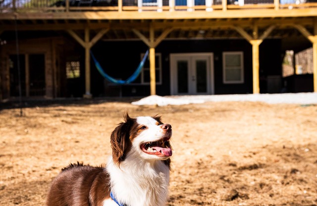 The Perfect Modern Killington GetawaynHot tub-Sauna-Movie Room-Speakeasy-VIEWS!