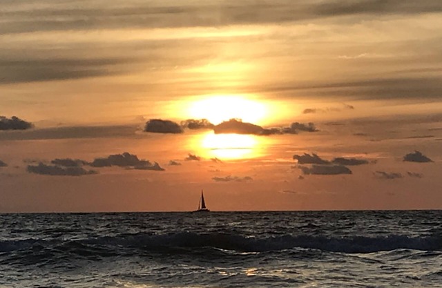 “The Salty Sandpiper” Studio @ Landmark Towers