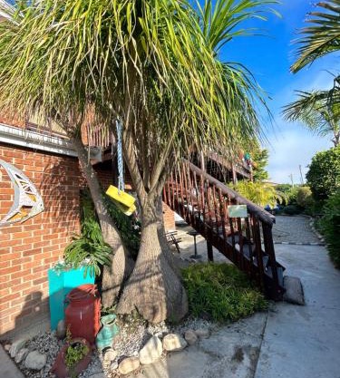 The Sundowner Guest House