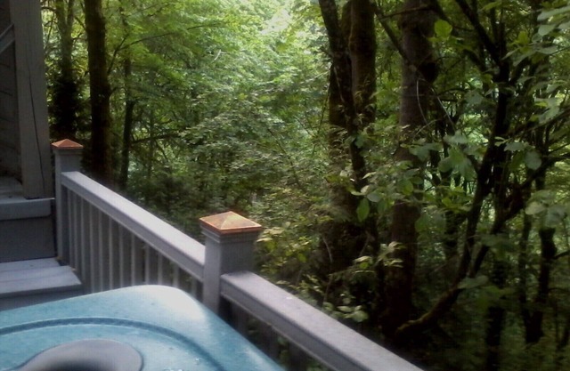 The TreeHouse Too - 2 BR Attached In-Law Flat/Apt. w/Spa & Mucho Amenities .