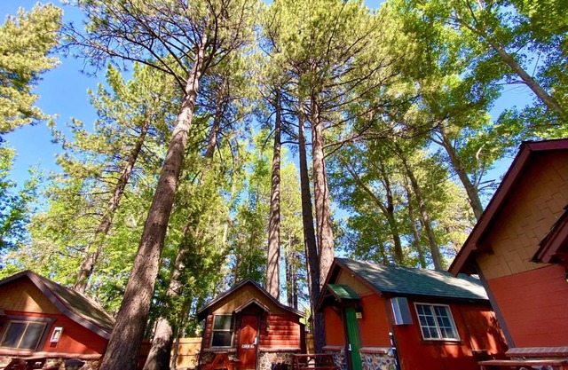 The Village Cabins