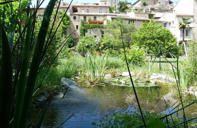 The wealth of nature in the heart of a village