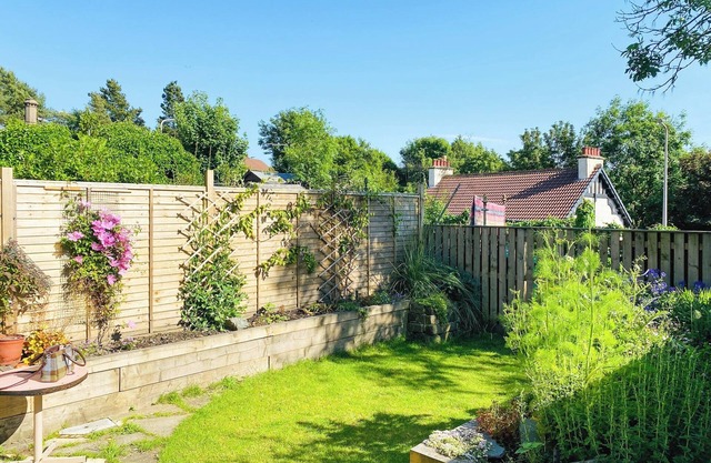 The Wee Cottage - UK42919