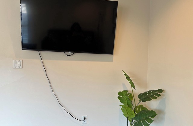 The whole Spacious and bright suite with separated entrance