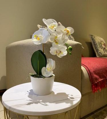 Thorntree Self Catering Apartment, Witbank