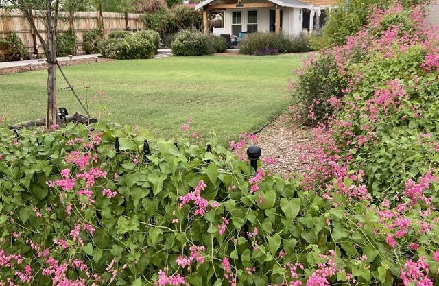 Three minute walk to Downtown Gilbert from the Not So Tiny Cottage!