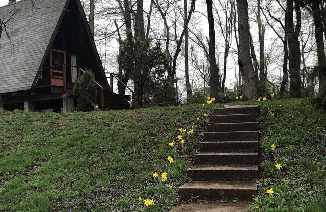 THREE SEPARATE CABINS on 128 Acre Forest Park and Nature Reserve
