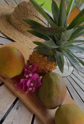 Ti’Bou des Îles de Guadeloupe