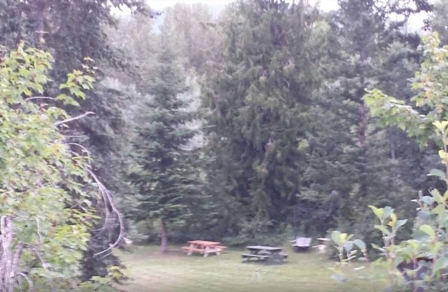 Tim's Campsite by the River