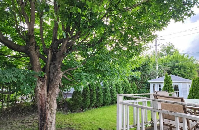 Timeless Tranquility, a place near everything!