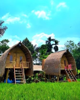Tiny ECO Bamboo Ubud