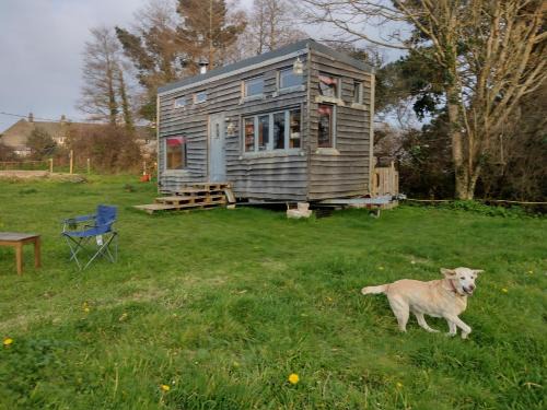 Tiny House Glamping, sleeps up to 6