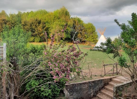 Tipi avec animaux pour famille nature